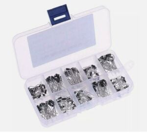 100 Parça Diyot Seti 10 Farklı Değerde DO-41 Kılıf Şeffaf Çantada