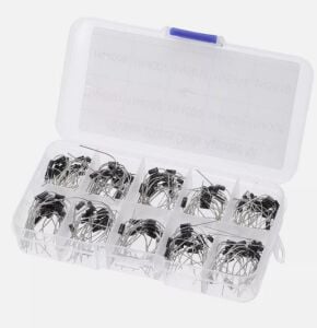 100 Parça Diyot Seti 10 Farklı Değerde DO-41 Kılıf Şeffaf Çantada