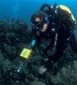 Garrett Sea Hunter Su Altı Dedektörü