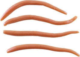Berkley Alive Angleworm 60Gr Naturel Lrf Silikonu