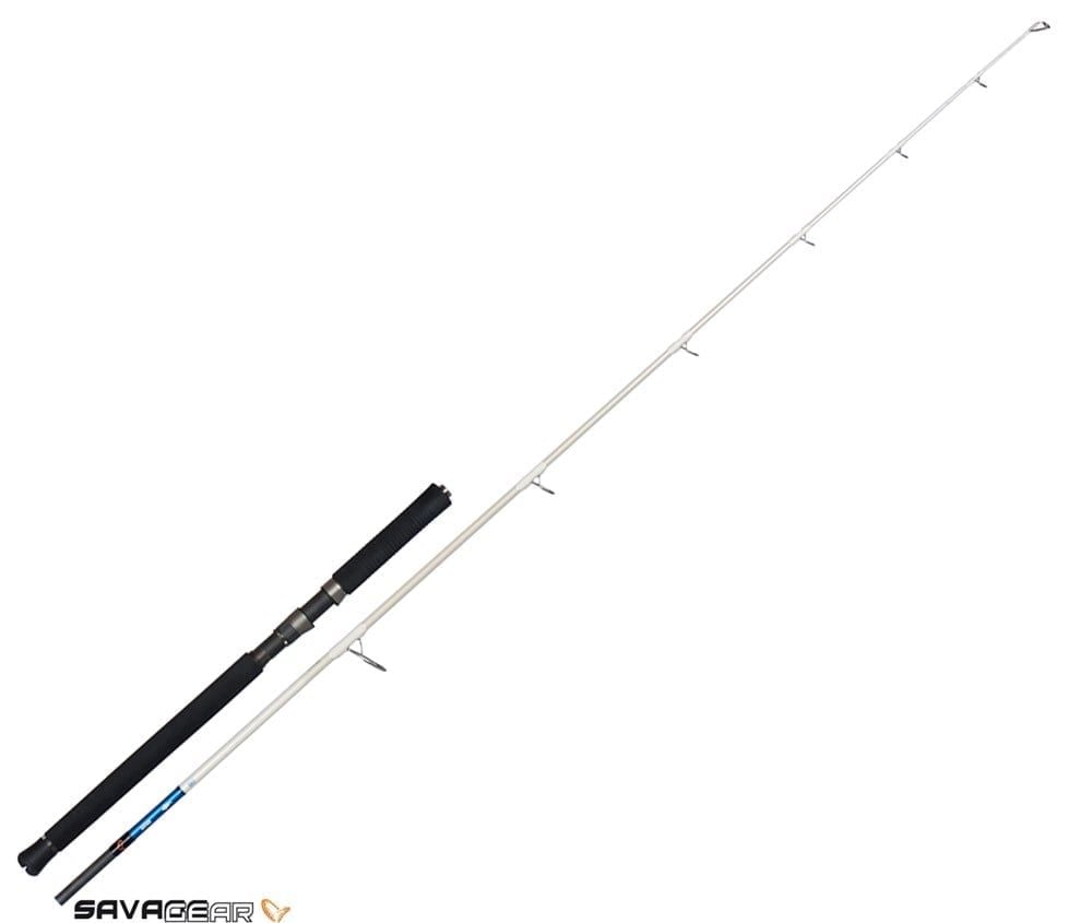 Savage gear Salt 1DFR Pop n Stick 234cm 40-80g 2 Parça