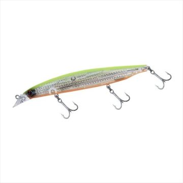 Daiwa Shoreline Shiner Z Vertice R Laser İmpact R125S Chart Back