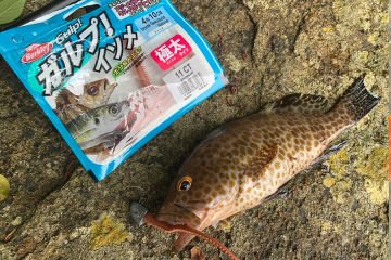 Berkley Gulp! Saltwater Isome Futomi 4 inch Camo