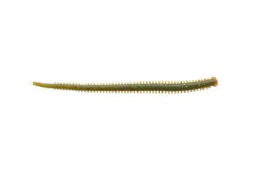 Berkley Gulp! Saltwater Isome Futomi 4 inch Camo