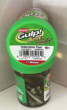 Berkley GAJMI1-BS Gulp Alive 1 inç Minnow Black Shad