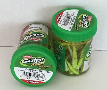 Berkley GAJMI1-BS Gulp Alive 1 inç Minnow Chartreuse Shad