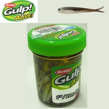 Berkley GAJMI1-BS Gulp Alive 1 inç Minnow Waterler Melon Pearl