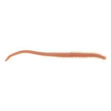 Berkley Gulp Sandworm Nereis 15 cm Kavanoz Naturel