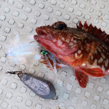 Prox Viceo Real Bait Squid Silikon Kalamar 6 inç