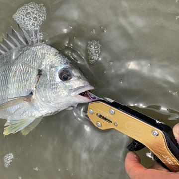 Prox Fish Catcher R Reguler Grip Balık Tutucu Siyah