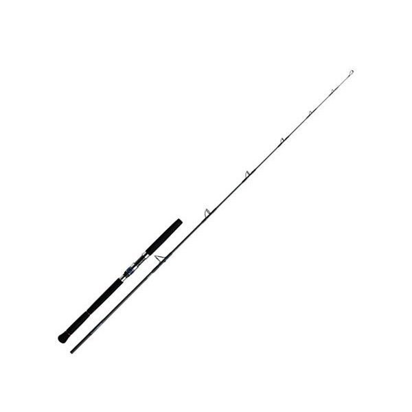 Daiwa Saltiga Dorado Power Rounder 73S Aksiyon 30-90 Gr