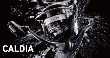Daiwa Caldia 3012H Spin Olta Makinası