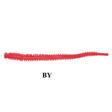 Berkley Gulp Sandworm 4 inç İsome Type Futomi  MB Kokulu Kurt