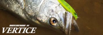 Daiwa Shoreline Shiner Z Vertice 120F Sahte Yem