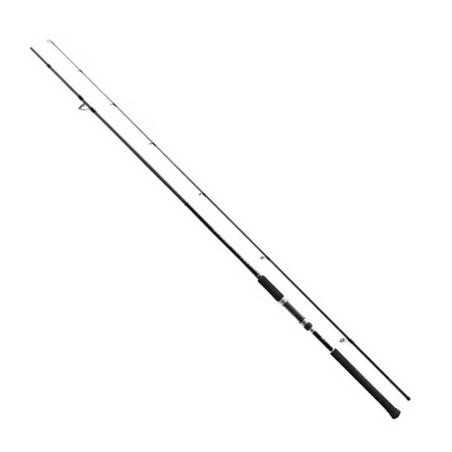 Shimano Salty Advance 290 Cm Max. 80 Gr Shore Jig Kamışı