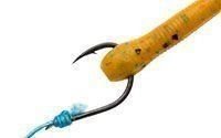 Ecogear Aqua Tairaba Kuwase Curly Slim J18 ORANGE GOLD