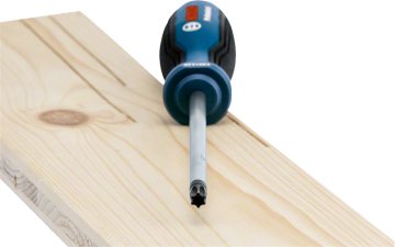 Bosch Profesyonel Torx Tornavida TX40x125