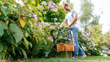 Bosch EasyGrassCut 23 Kenar Kesme Makinesi