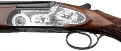 Rizzini Argo