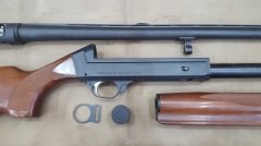 Beretta ES 100 Wood