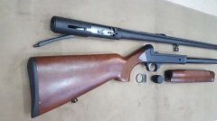 Beretta ES 100 Wood