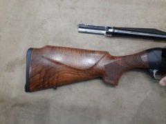 Benelli Raffaello Slug 20