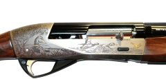 Benelli Raffaello Accademia Limited Edition