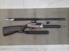 Beretta A400 Action