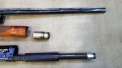 Browning Gold 20 Cal
