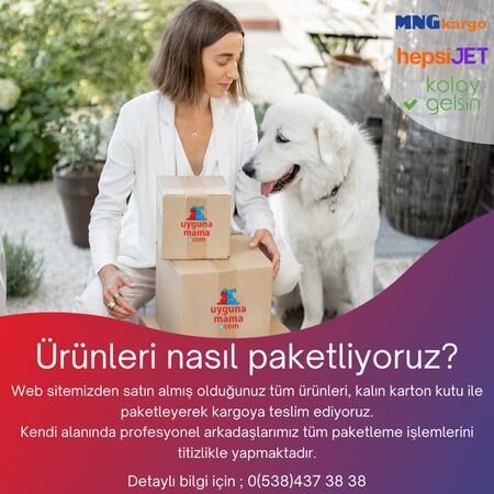 Advance Tavuklu Kısırlaştırılmış Yavru Kedi Maması 1,5 Kg