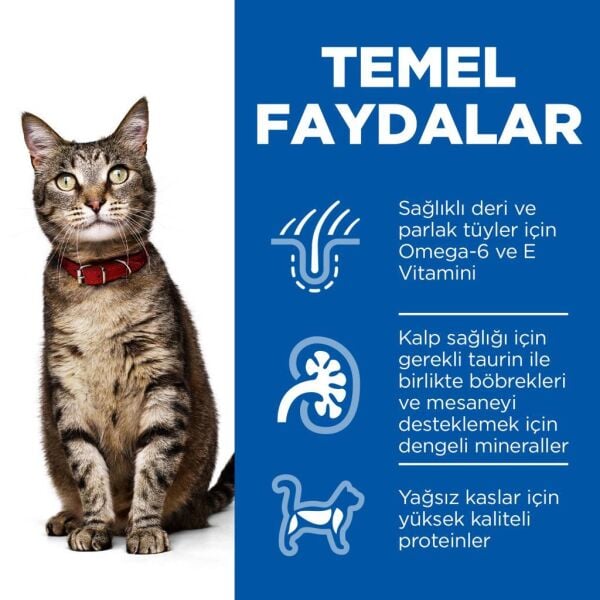 Hill's SCIENCE PLAN Adult Optimal Care Tavuklu Yetişkin Kedi Maması 8+2 Kg