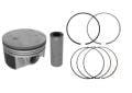 Taliant Sandero 3-III Piston + Segman Std (Adet) 1.0 Sce B4D 120A10494R-120A12678R - Renault Mais