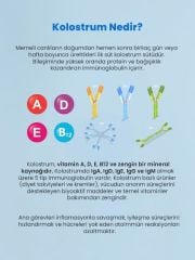 Colostre Cilt Bakım Kremi 15 Gr
