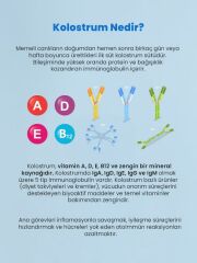 Colostre Cilt Bakım Kremi 15 Gr