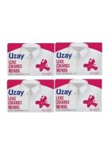 Uzay Leke Çıkartıcı Mendil 12'li 4 Adet