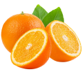 Portakal Fidanları