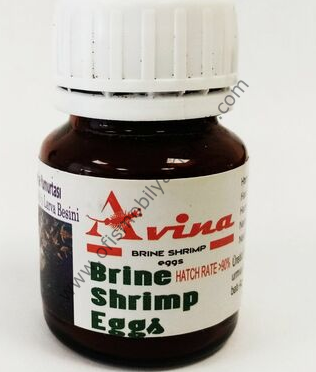 Avina Brine Shrimp Eggs Artemia Salina 15gr Cam Sişe