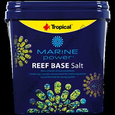 MARINE POWER REEF BASE SALT