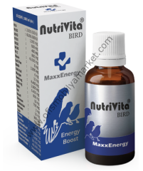 NutriVita Bird Maxx Energy Vitamin Enzim Probiyotik