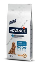 Adv.dog  Adult