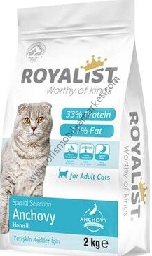 Royalist Cat Hamsili