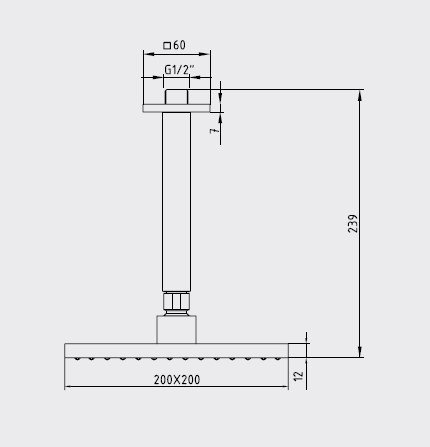 Eca Tiera Duş Başlığı Tavandan