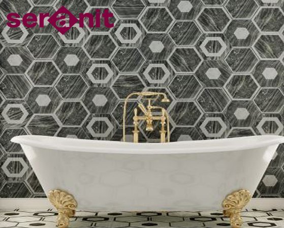 Efes Marble Siyah Dekor 20x23.2