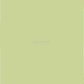 Kütahya Seramik Ral Açık Yeşil 10x10
