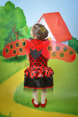 Uğur Böceği Temalı Kız Çocuk Kostümü, Uğur Böceği Çocuk Kıyafeti, Hızlı Teslimat