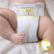 Prima Bebek Bezi Premium Care 3 Beden Midi Aylık Paket 120 Adet