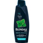 Blendax Men Mentol Ferahlığı Nane Özlü Şampuan 470 ml