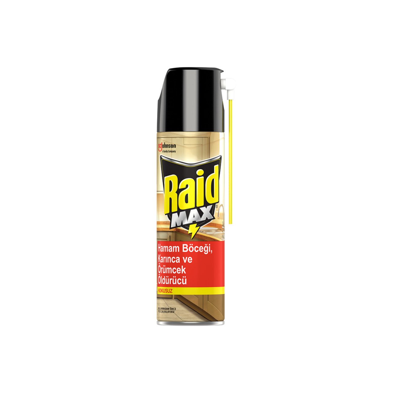 Raid Max Böcek Öldürücü Sprey 300 ml