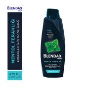 Blendax Men Mentol Ferahlığı Nane Özlü Şampuan 470 ml