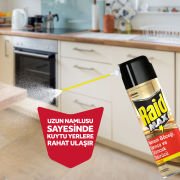 Raid Böceksavar Max Aerosol 300 ml
